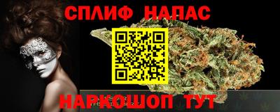 индика Ярославль