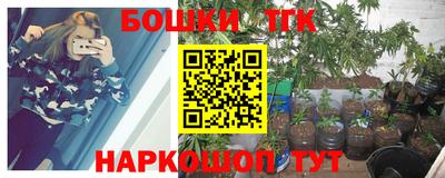прущие грибы Ярцево