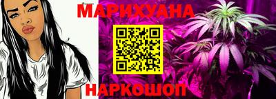 индика Ярославль