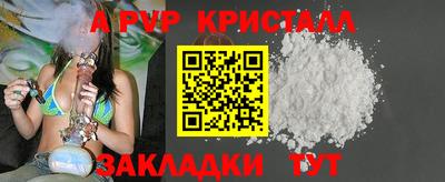 индика Ярославль
