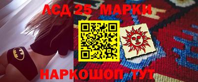 индика Ярославль
