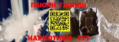 индика Ярославль